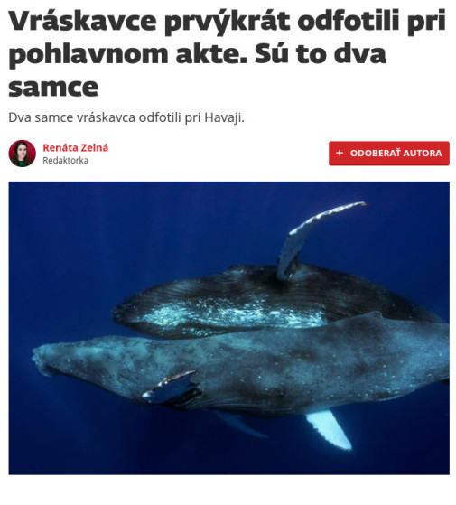 Vraskavce